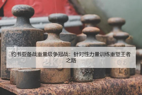 yue-shu-ya-bei-zhan-zhong-liang-ji-zheng-guan-zhan-zhen-dui-xing-li-liang-xun-lian-zhong-su-wang-zhe-zhi-lu-2-377.jpg